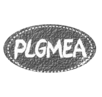 partner-image